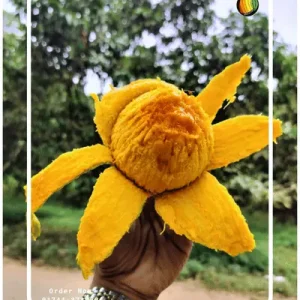 ১২ কেজি হাড়িভাঙ্গা আম