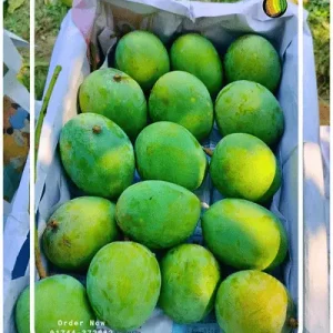 ১২ কেজি আমের প্যাক