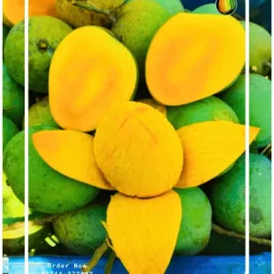 ২৪ কেজি আমের প্যাক