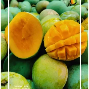 ১০ কেজি আমের প্যাক