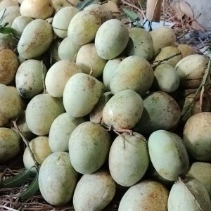 গৌড়মতি আম (১১ কেজি) প্যাক